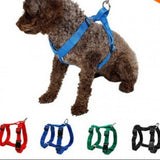 Pet Harness